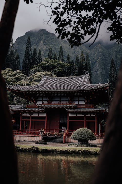 Gratis arkivbilde med buddhist, Byodo-In Temple, dam