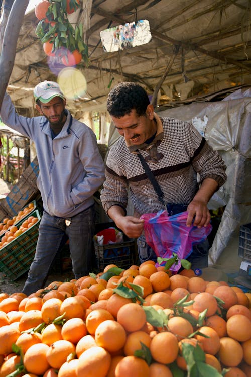 Foto stok gratis bazar, buah, jeruk
