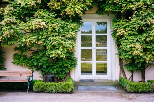 Lush Foliage Decorating Entrance