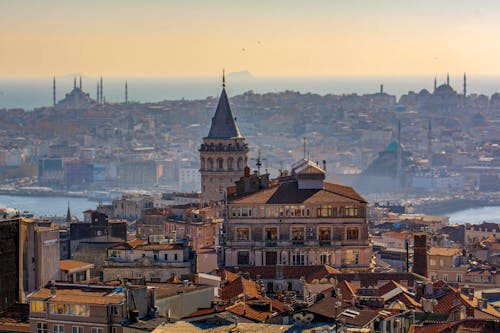 Imagine de stoc gratuită din ceață, curcan, Istanbul