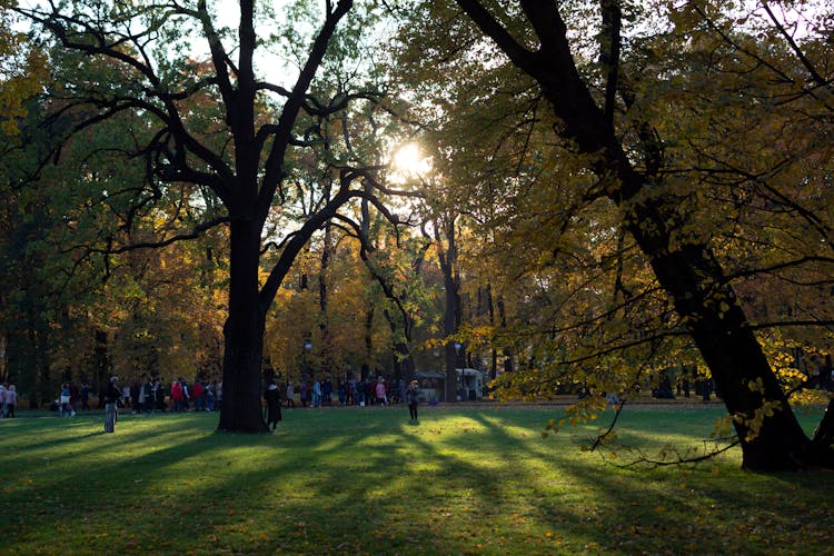 People Waking In Park 