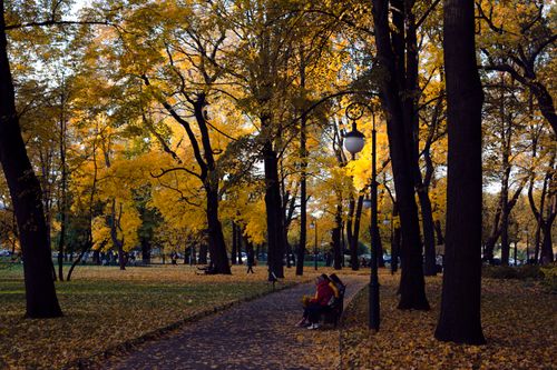 Free Peaceful autumn scene with yellow leaves and couple sitting on a bench in city park. Stock Photo