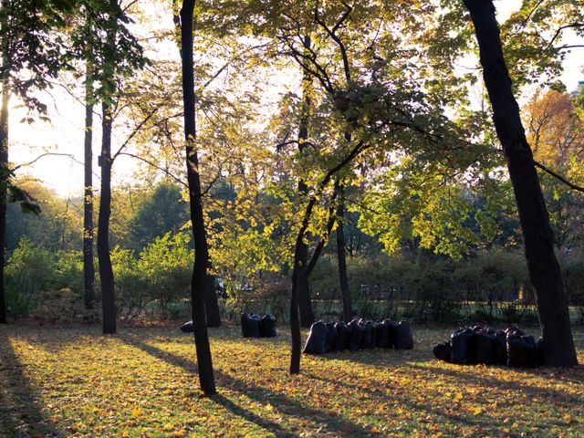 Seasonal Cleanups