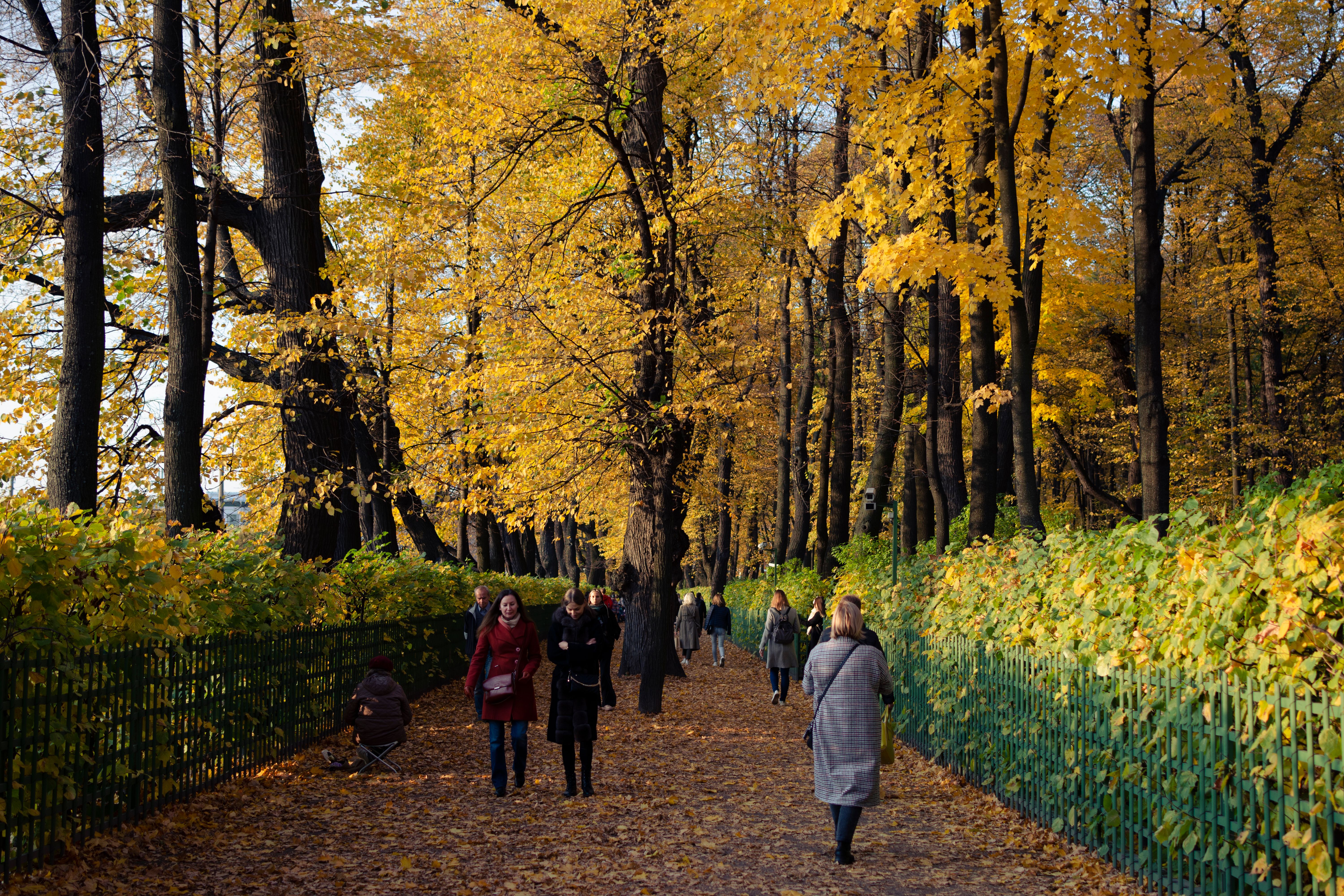 Life insurance protects dependent loved ones - Chicago Sun — Photo by Vitali Adutskevich on Pexels