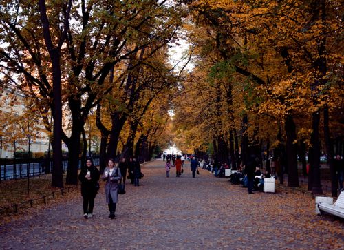 Free People walking along a tree-lined pathway in the city park during fall. Stock Photo