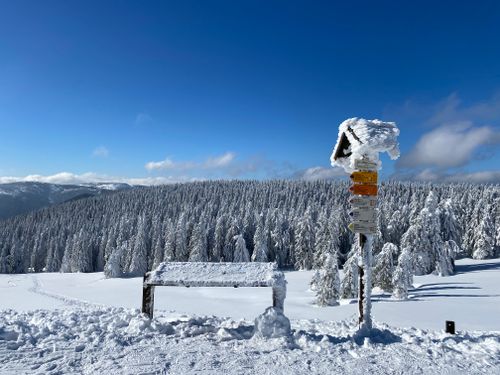 Free Serene winter scene with snow-covered bench and signpost in a forest of Loučná nad Desnou, Czechia. Stock Photo