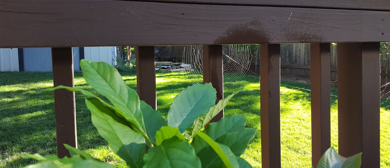 2026 এর সেরা ওভারনাইট সাফারি দুবাই অভিজ্ঞতা মরুভূমিতে শান্তি 1 দুবাইয়ের মরুভূমিতে ওভারনাইট সাফারি দুবাই ক্যাম্পের দৃশ্য, রাতের বেলায় তাঁবু এবং তারাময় আকাশ।