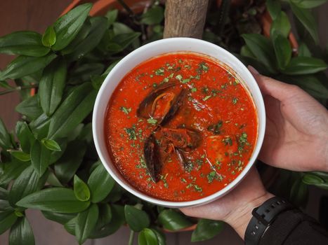 Delicious homemade spicy tomato soup with shellfish, presented in a white bowl surrounded by greenery.