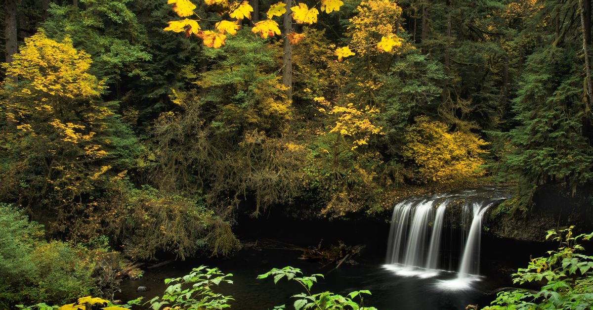 Scenic view of a waterfall surrounded by autumn foliage in Scotts Mills, Oregon.