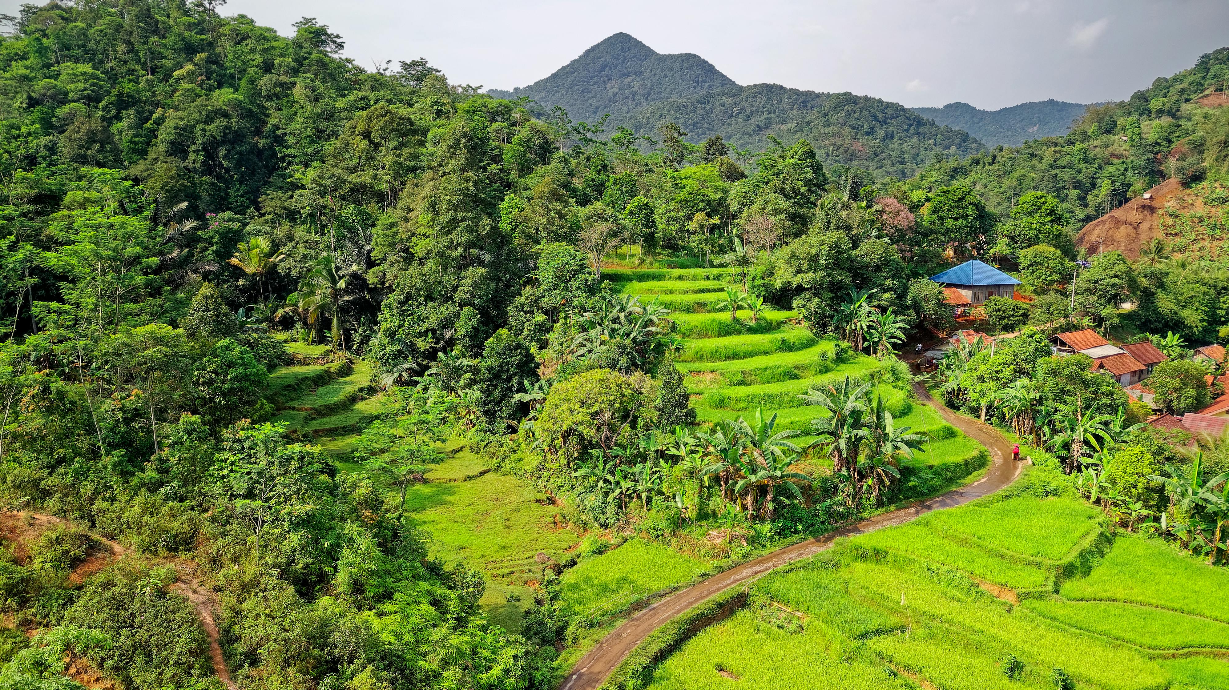 view of terraced cropland