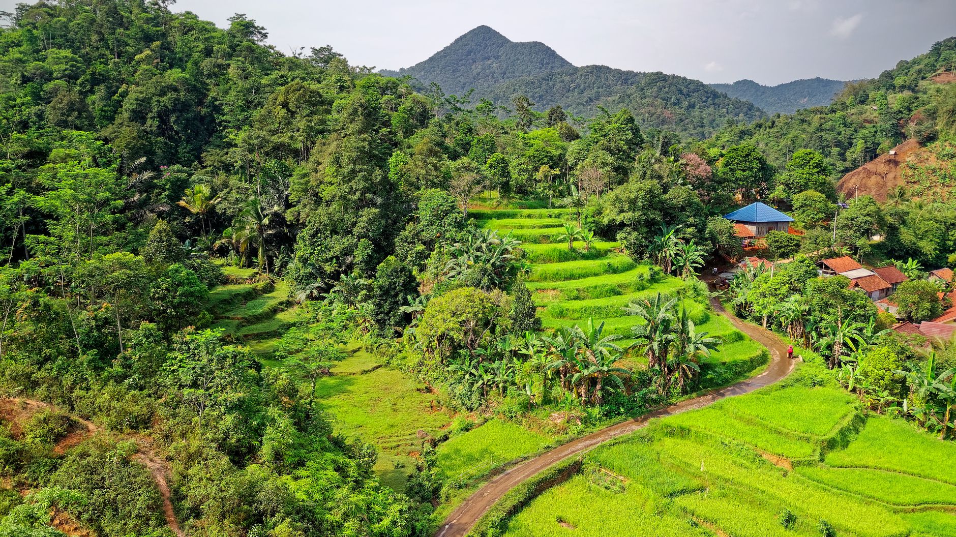 Tempat Wisata Unik di Kalimantan Timur: Jelajahi Keajaiban Alam dan Budaya
