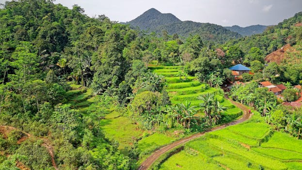 Discover the vibrant terraced rice fields in Rumpin, West Java, Indonesia, surrounded by lush tropical greenery.