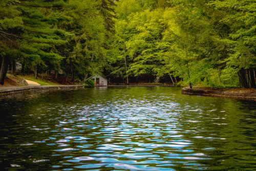 Free Tranquil lake surrounded by lush green forest with a small cabin in the distance. Stock Photo
