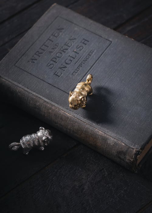 Cats Figurine Standing on Book