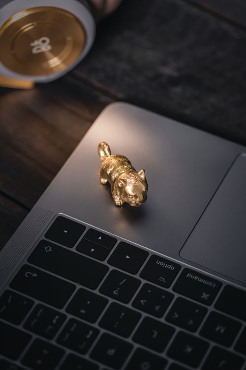 Free A close-up shot of a gold tiger figurine on a sleek laptop keyboard, embodying luxury and technology. Stock Photo