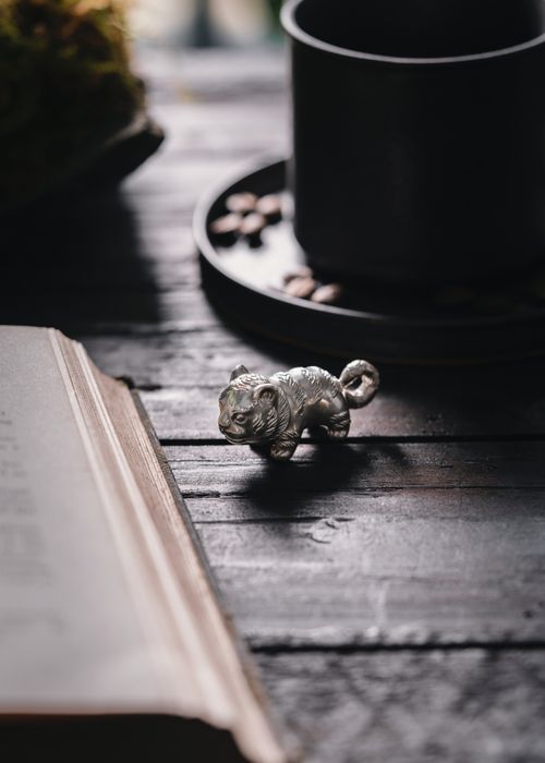 Free Artistic still life featuring a tiny tiger figurine, an open book, and a coffee mug on a wooden table. Stock Photo
