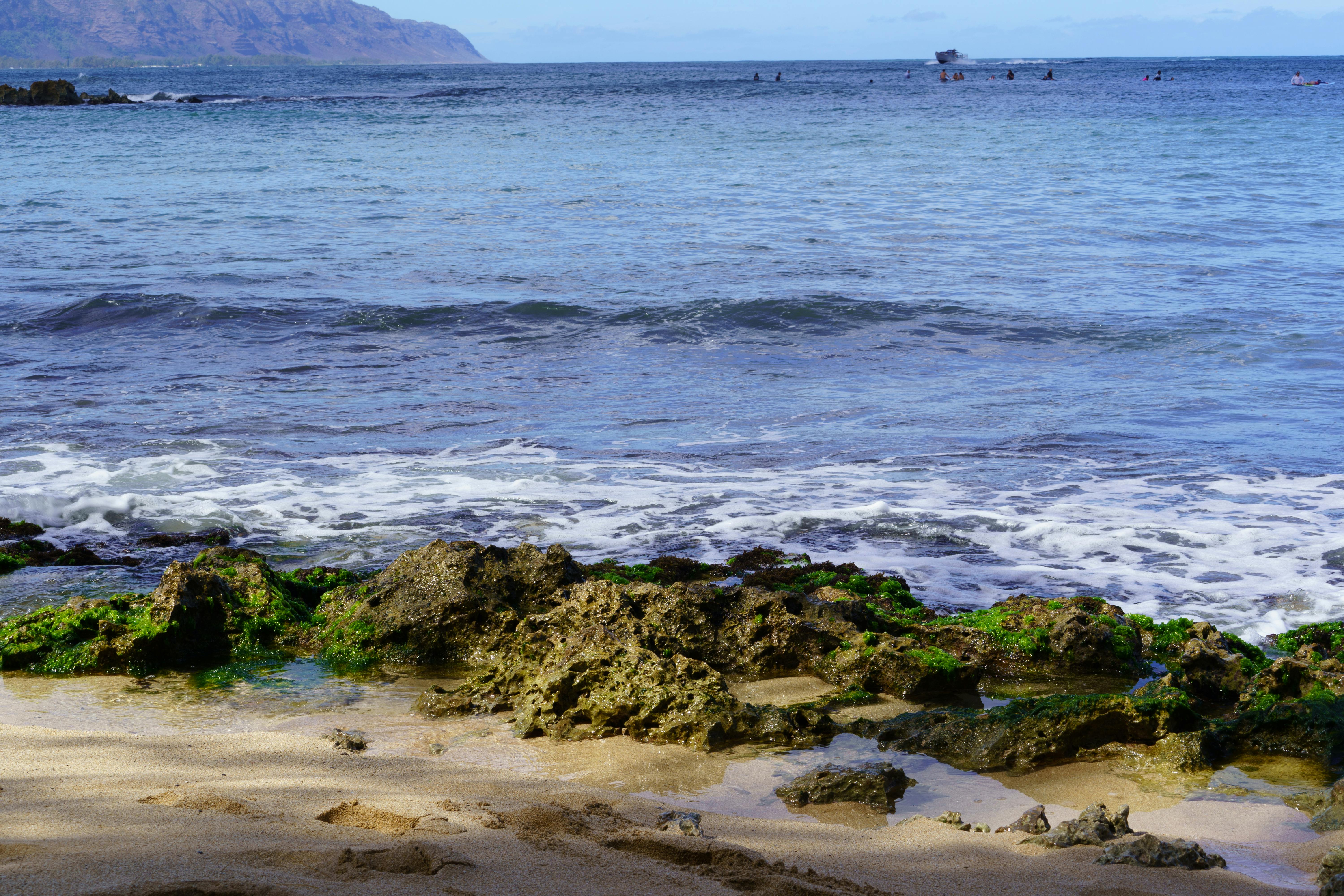 Viral Hawaii Vacation Getaways You Can Book Today