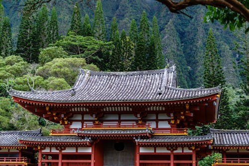 Imagine de stoc gratuită din acoperiș, arbori, arhitectura japoniei