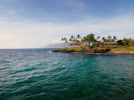 Beautiful oceanfront homes surrounded by palm trees on the coast of Kihei, Maui.