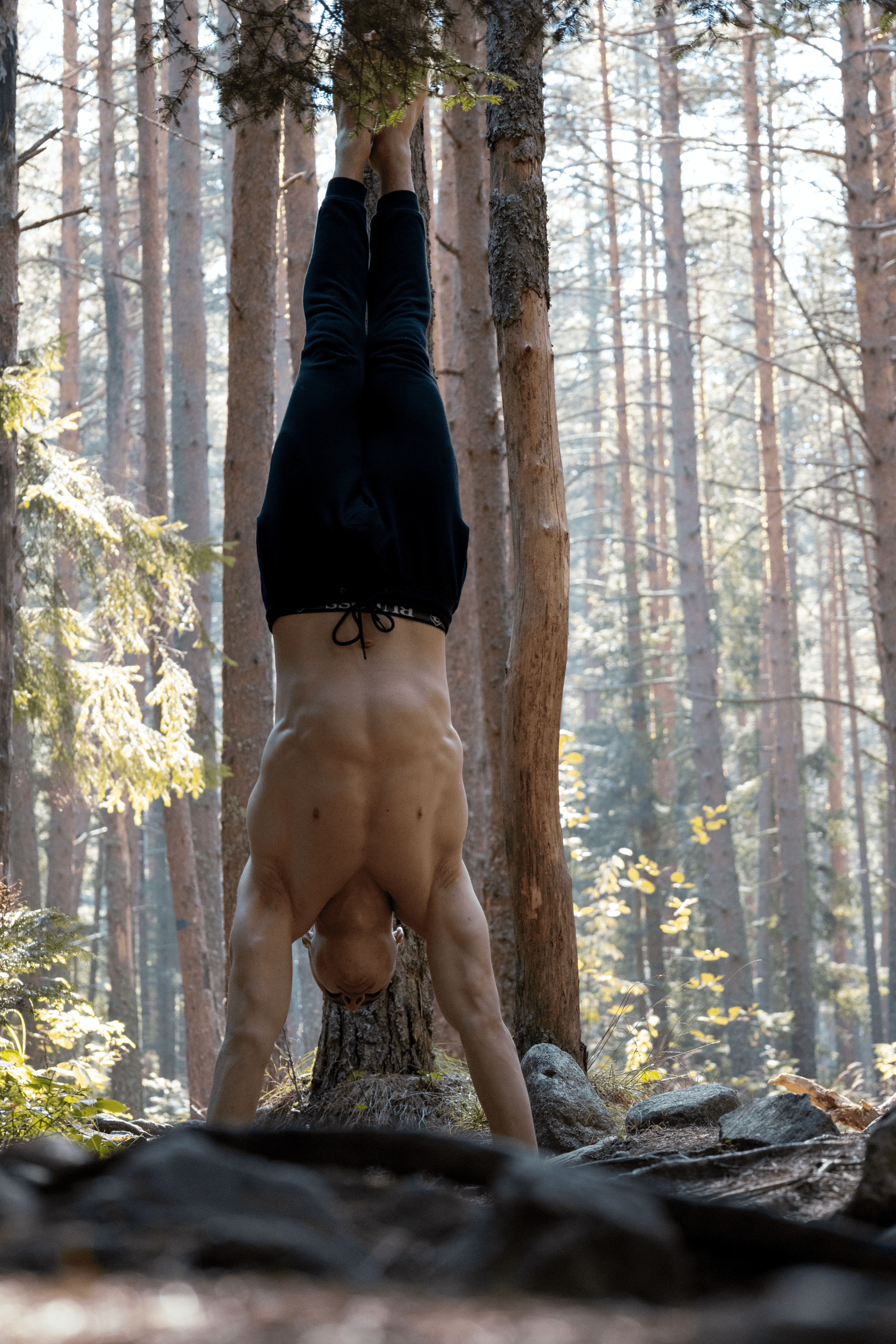 handstand in the forest