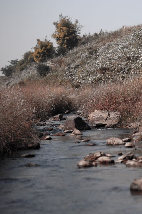 Close Up Stream Close up of a Stream · Free Stock Photo