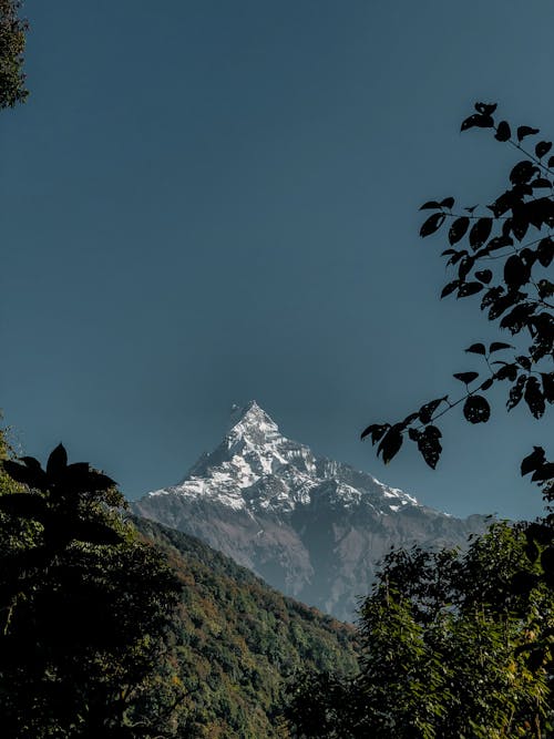 Fotos de stock gratuitas de cerros, cielo limpio, fondo de pantalla para el móvil