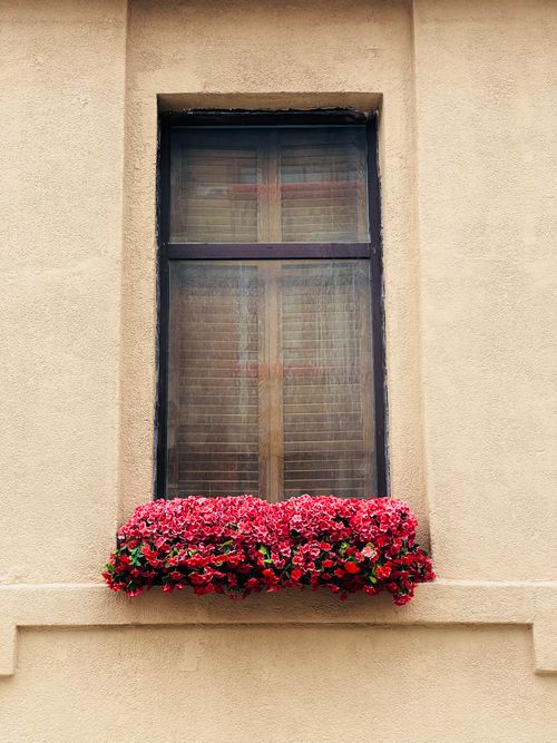Free Charming window with colorful flower box against a beige wall. Stock Photo