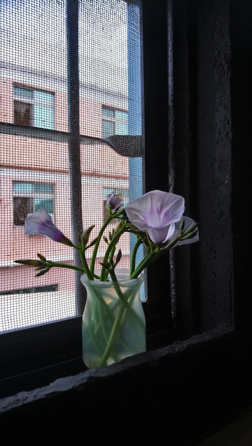 Vase with Flowers on Windowsill