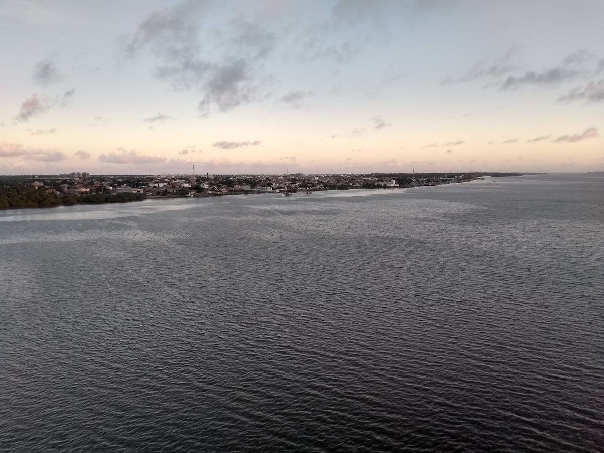 Healthy lifestyle concept with vegetables and dumbbells on a table