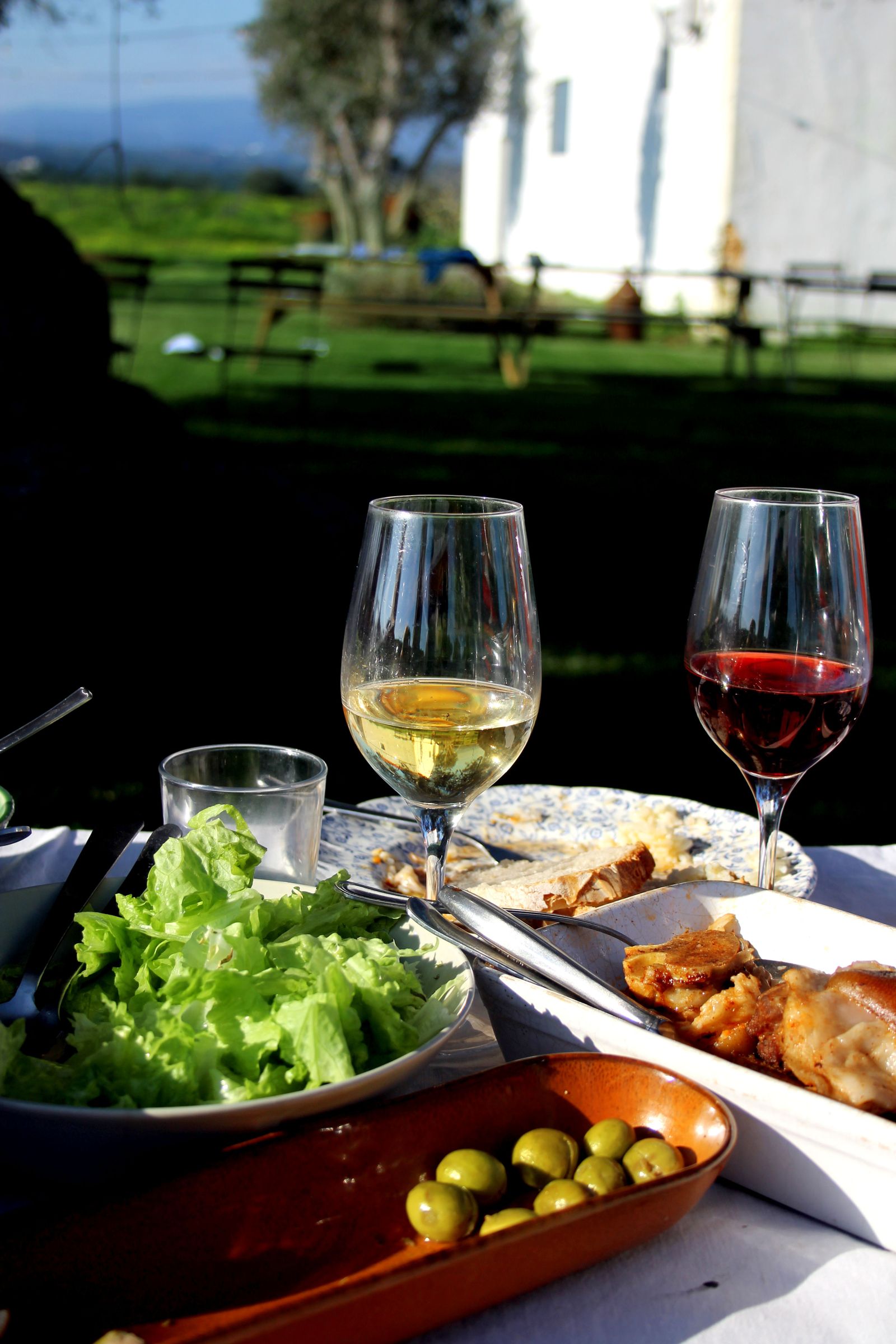 Gedeckter Gartentisch mit Essen und Wein im Freien