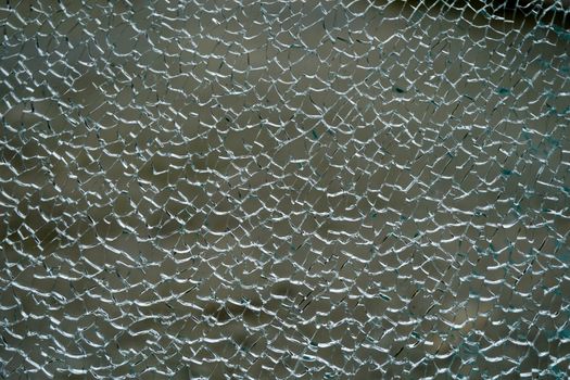 Detailed close-up image of shattered glass creating an intricate and delicate pattern.