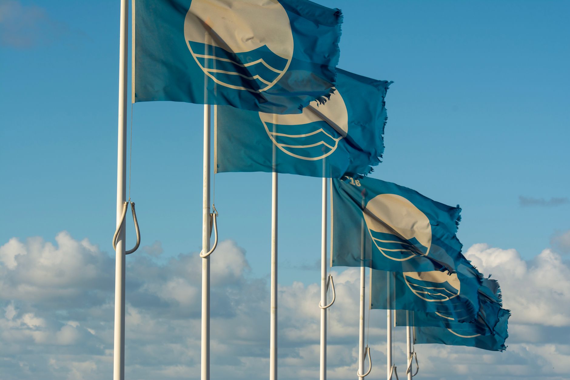 Multiple blue flags with emblem flutter against a backdrop of clear blue skies.