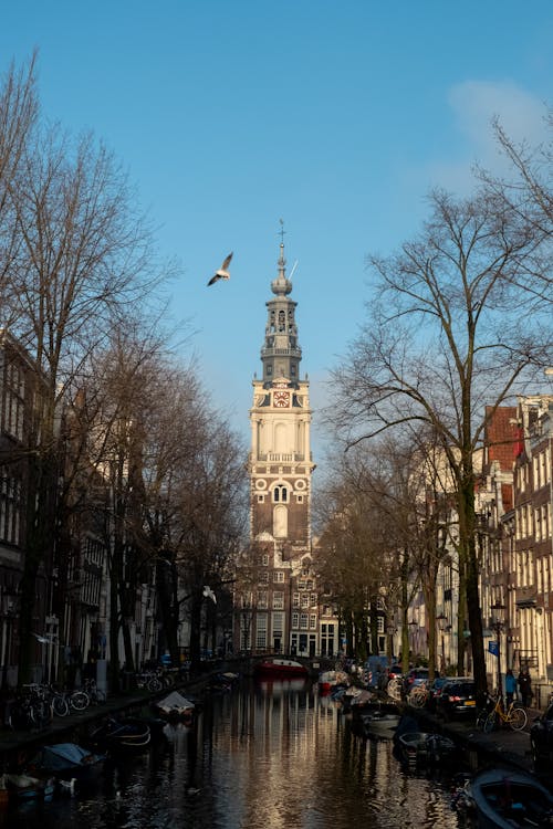 Foto stok gratis air, amsterdam, arsitektur gothic