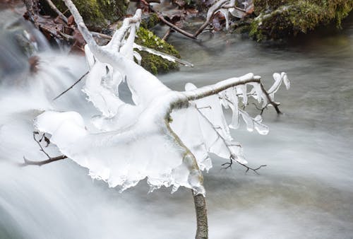 Foto d'estoc gratuïta de a l'aire lliure, aigua, branca