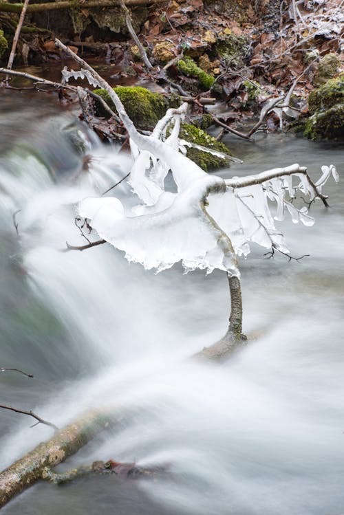 Water in a stream. Winter time Water flows around frozen rocks and branches. Cold temperatures in nature.