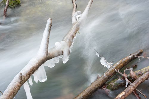 Water in a stream. Winter time Water flows around frozen rocks and branches. Cold temperatures in nature.