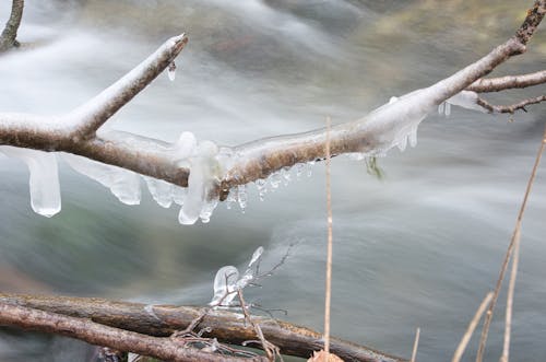 Water in a stream. Winter time Water flows around frozen rocks and branches. Cold temperatures in nature.