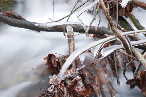 Water in a stream. Winter time Water flows around frozen rocks and branches. Cold temperatures in nature.