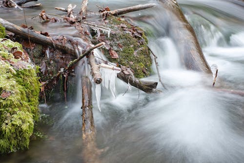 Foto d'estoc gratuïta de a l'aire lliure, aigua, branca