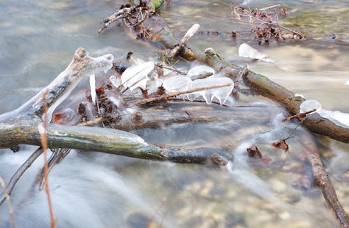 Water in a stream. Winter time Water flows around frozen rocks and branches. Cold temperatures in nature.