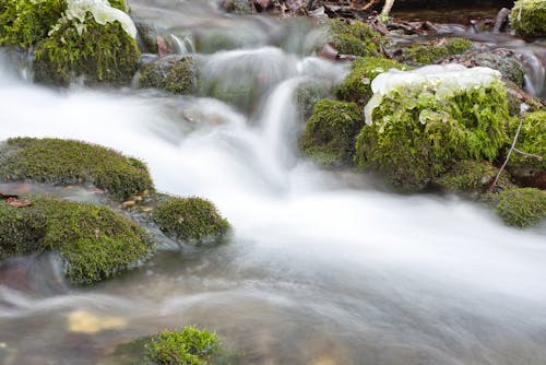 Wild River Flowing among Stones in Moss