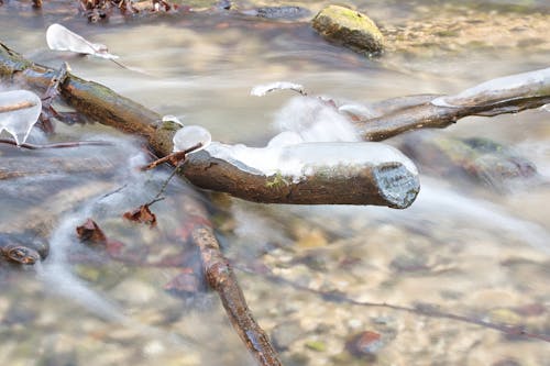 Water in a stream. Winter time Water flows around frozen rocks and branches. Cold temperatures in nature.