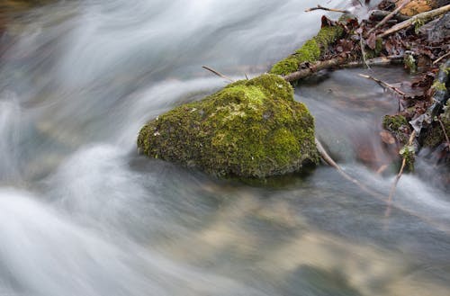 Water in a stream. Winter time Water flows around frozen rocks and branches. Cold temperatures in nature.