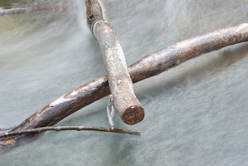 Water in a stream. Winter time Water flows around frozen rocks and branches. Cold temperatures in nature.