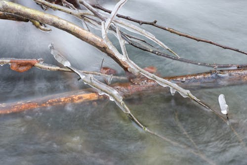 Water in a stream. Winter time Water flows around frozen rocks and branches. Cold temperatures in nature.