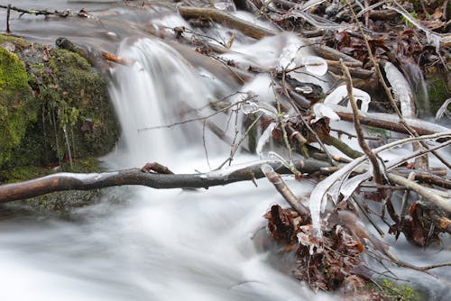 Foto d'estoc gratuïta de a l'aire lliure, aigua, branca