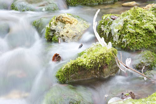 Water in a stream. Winter time Water flows around frozen rocks and branches. Cold temperatures in nature.