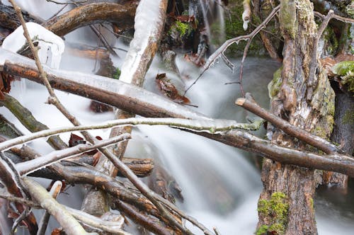 Water in a stream. Winter time Water flows around frozen rocks and branches. Cold temperatures in nature.