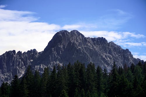 Landscape of Rocky Mountains and a Coniferous Forest