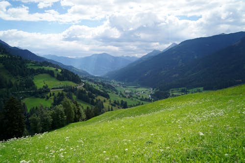 Beautiful Landscape of Green Grass Fields in Mountains 